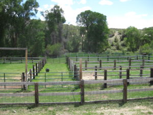 img-26