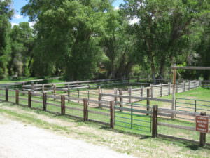 img-28