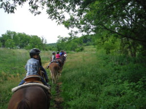 img-10