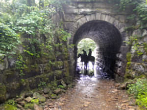 img-3
