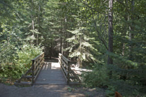 img-6