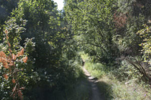 img-5