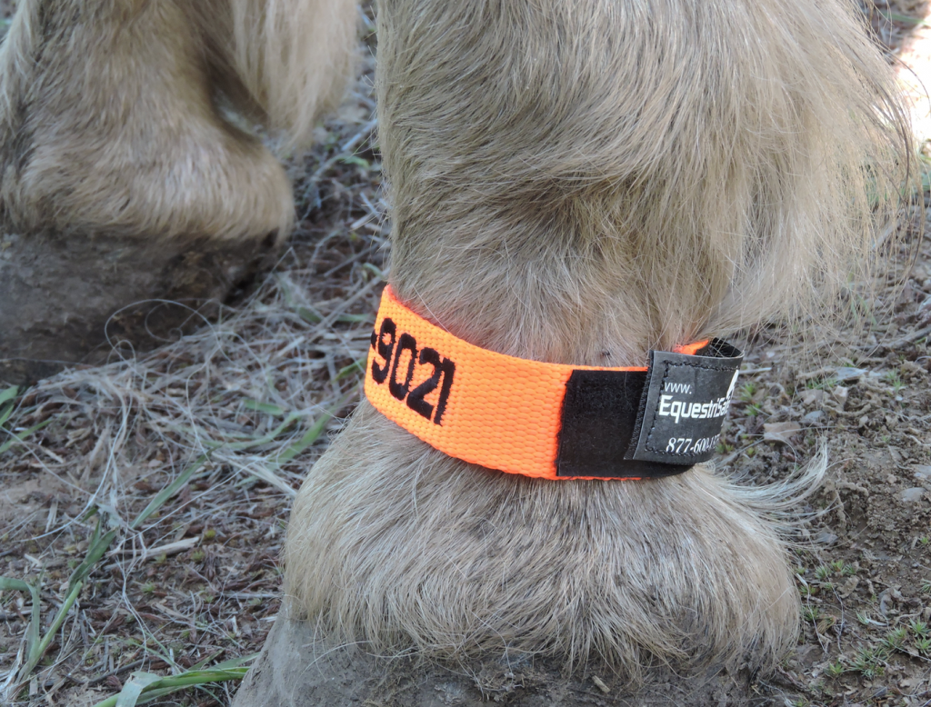 EquestriSafe Fetlock ID Band TrailMeister