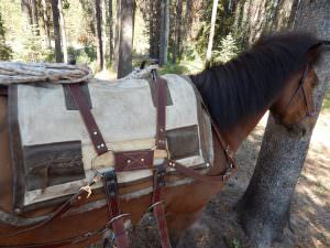 The Phillips Formfitter gets us into the back country in style