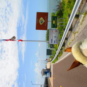img-5