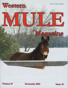 wmdec2016