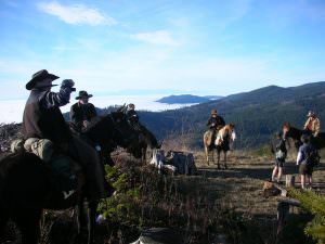 Above the clouds on Taylor Mnt - Photo by Kathy Y.