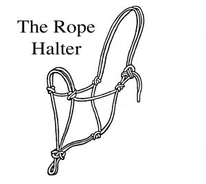 The Halter - TrailMeister