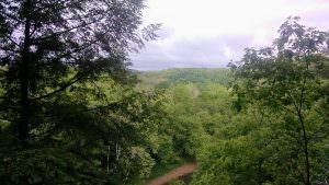 img-3