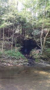 img-6
