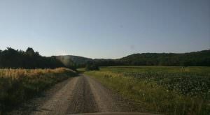 img-7