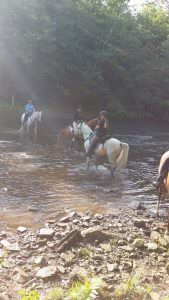 img-10