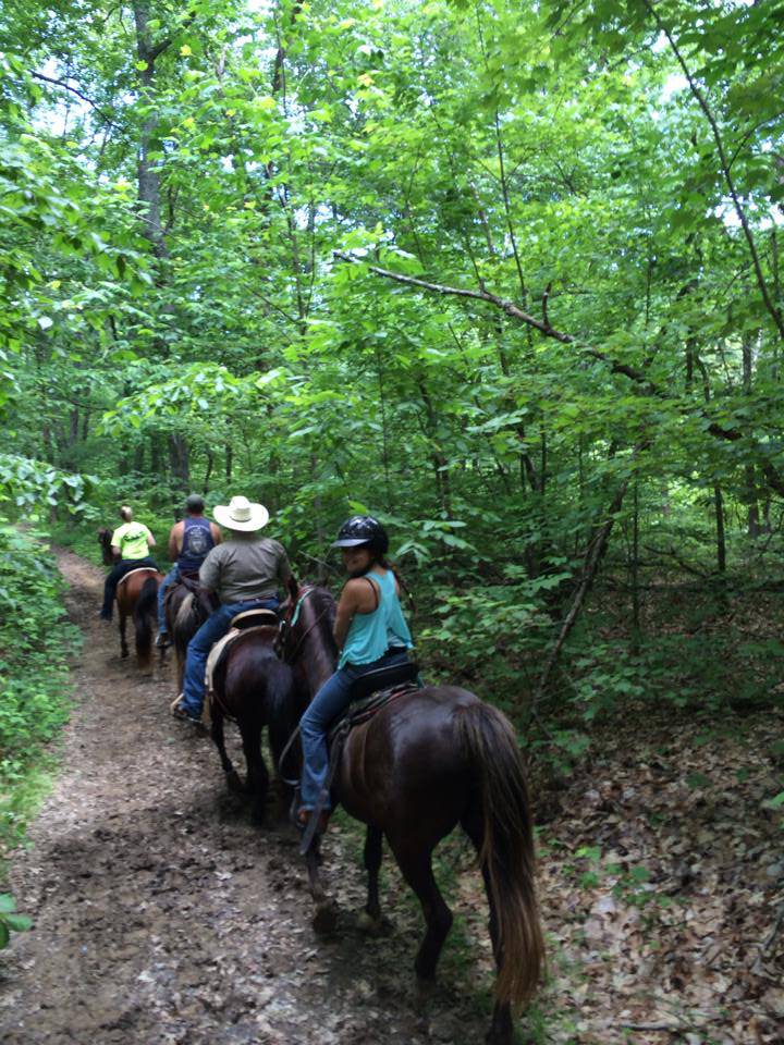 Mammoth Cave Horse Camp - TrailMeister