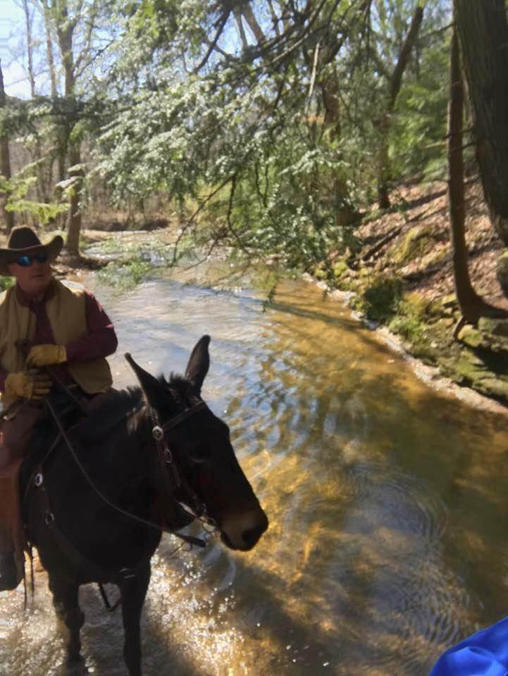 Mammoth Cave Horse Camp Trailmeister