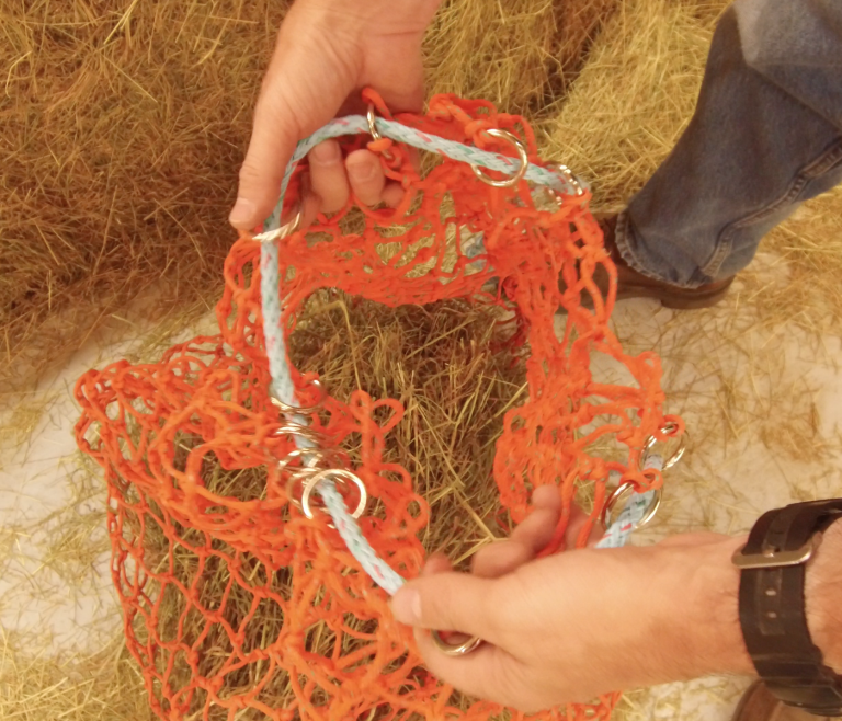 Orange Slow Feeder Review TrailMeister