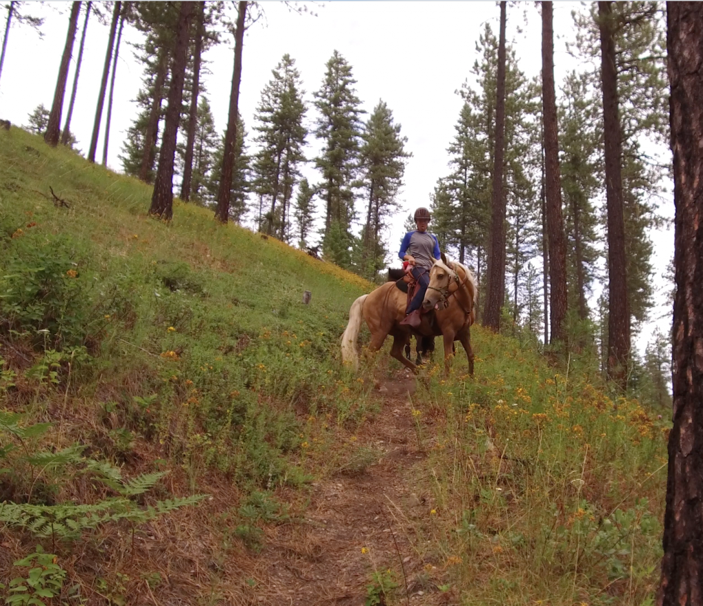 The Education of Kayla East Coast Girl Masters Northwest Horse Trails