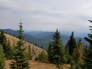img-11