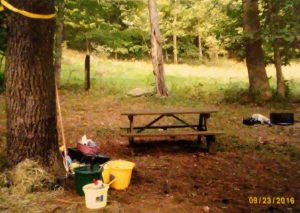 img-16