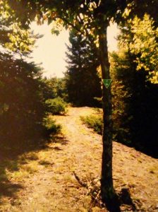 img-13