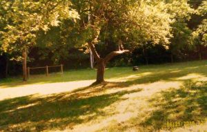 img-16