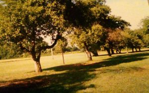 img-15
