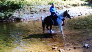 img-11