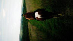 img-10