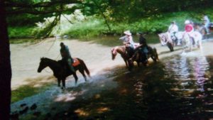 img-12