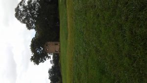 img-16