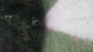 img-13