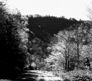 img-7