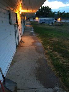 img-8