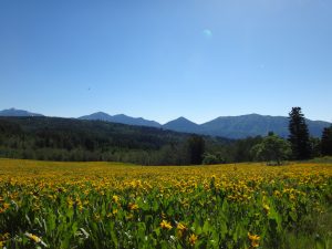 img-9