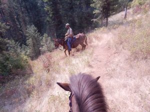 Keeping horse trails open