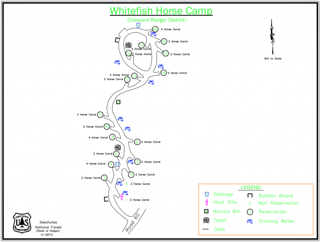 Whitefish clearance horse camp