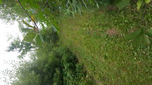 img-6