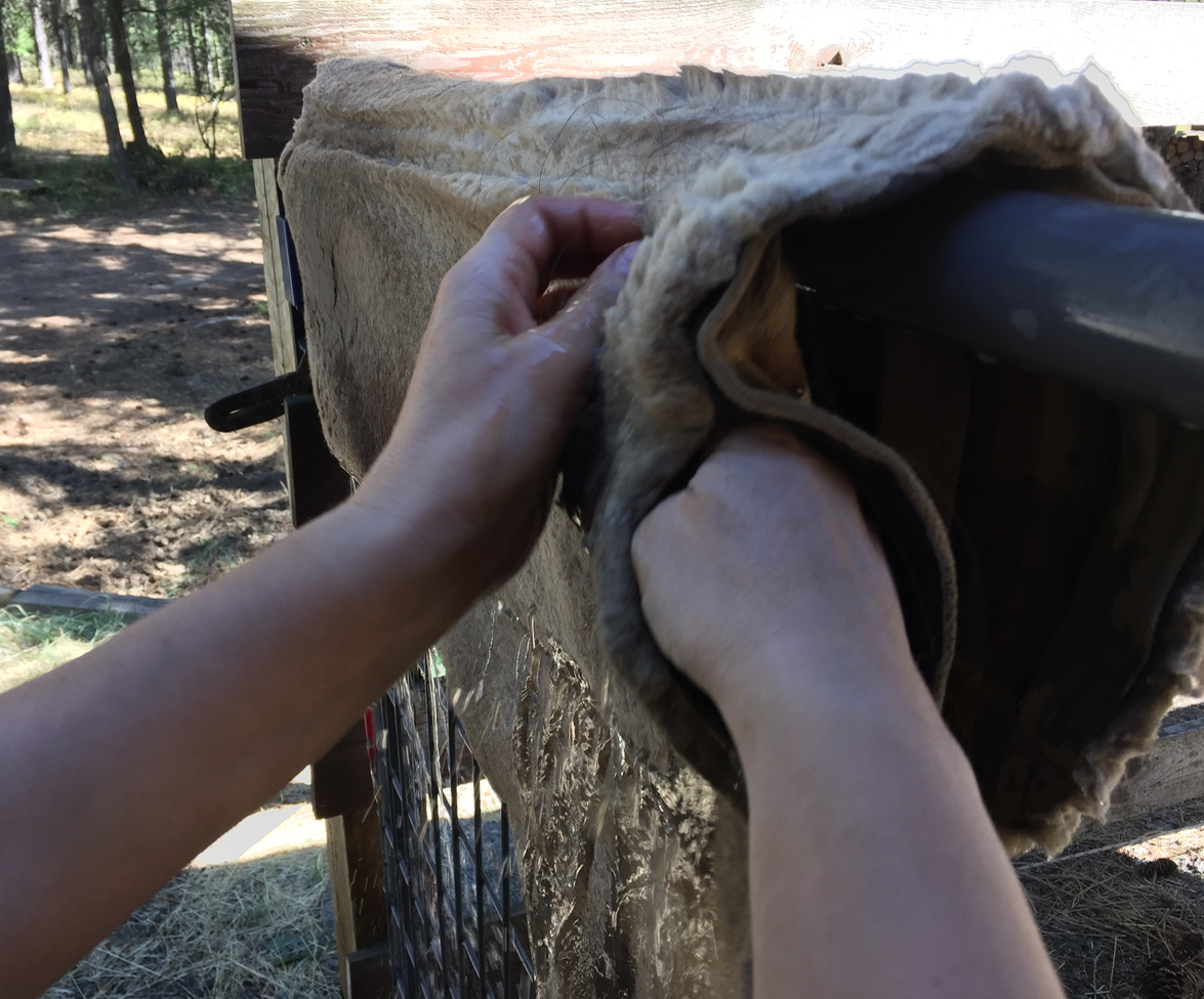 Cleaning your saddle pad TrailMeister