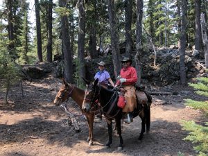 Oregon mule camping - Quinn Meadow