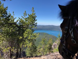 Oregon mule camping - Paulina