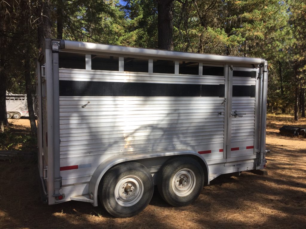 What's Needed in a Horse Trailer TrailMeister