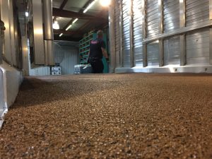 WERM Flooring