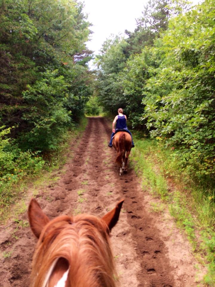 Saddle Up And Head To Bob Dunn Horse Campground: Your Minnesota Equestrian Escape
