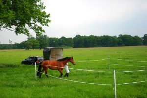 electric fence