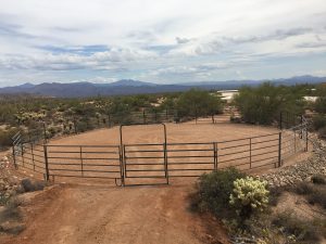 img-41