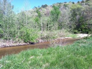img-11