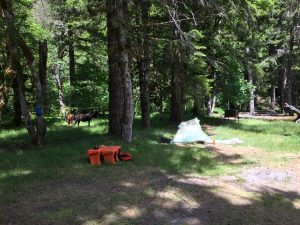 solo shelter