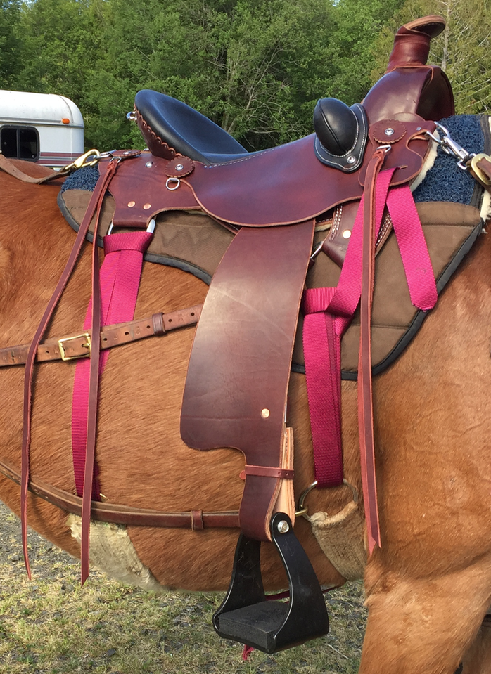 Latigo or Billets TrailMeister