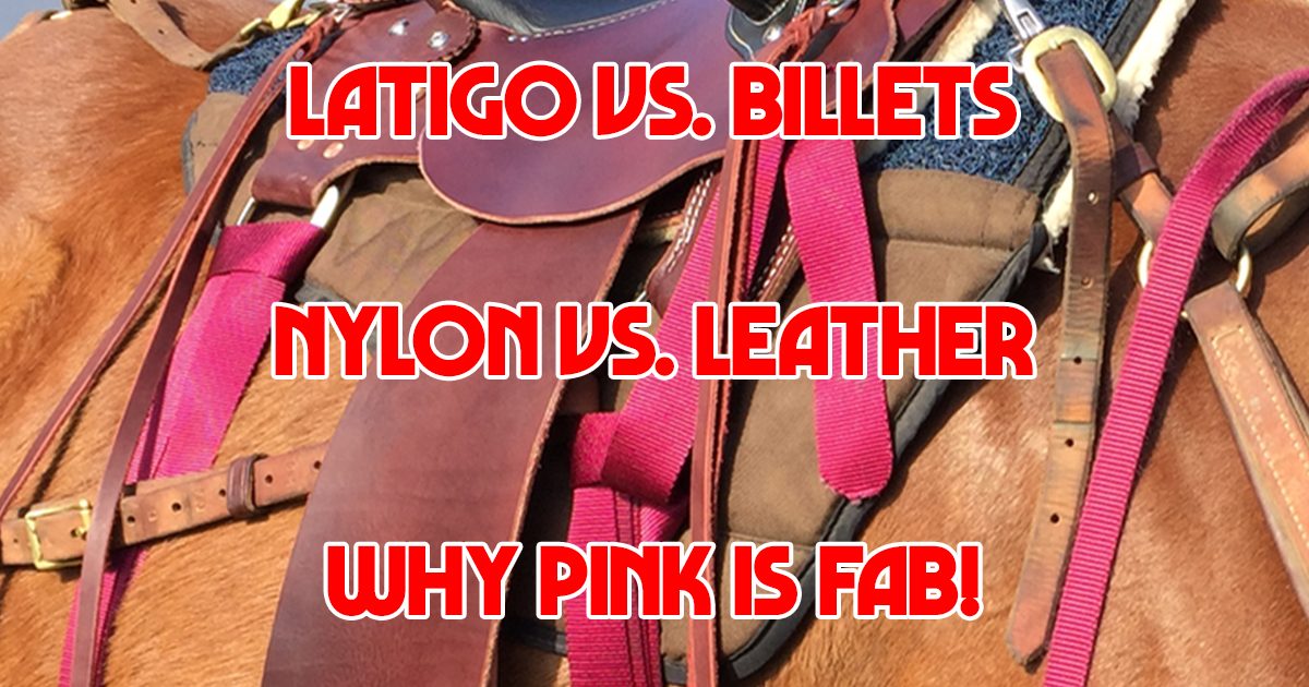 New Latigo and Off Billets  *****These new Latigos are so fun