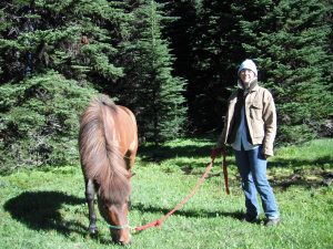 Camping Without a Pack Horse