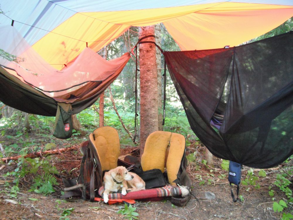 Lightweight Horse Camping TrailMeister